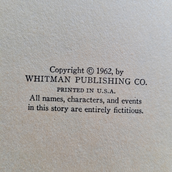 The Forest Fire Mystery by Troy Nesbit / 1962 / Vintage Children's Book - Picture 4 of 8